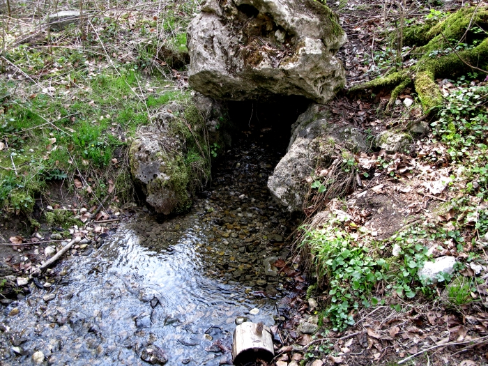 Remsquelle bei Essingen (Ostalb)