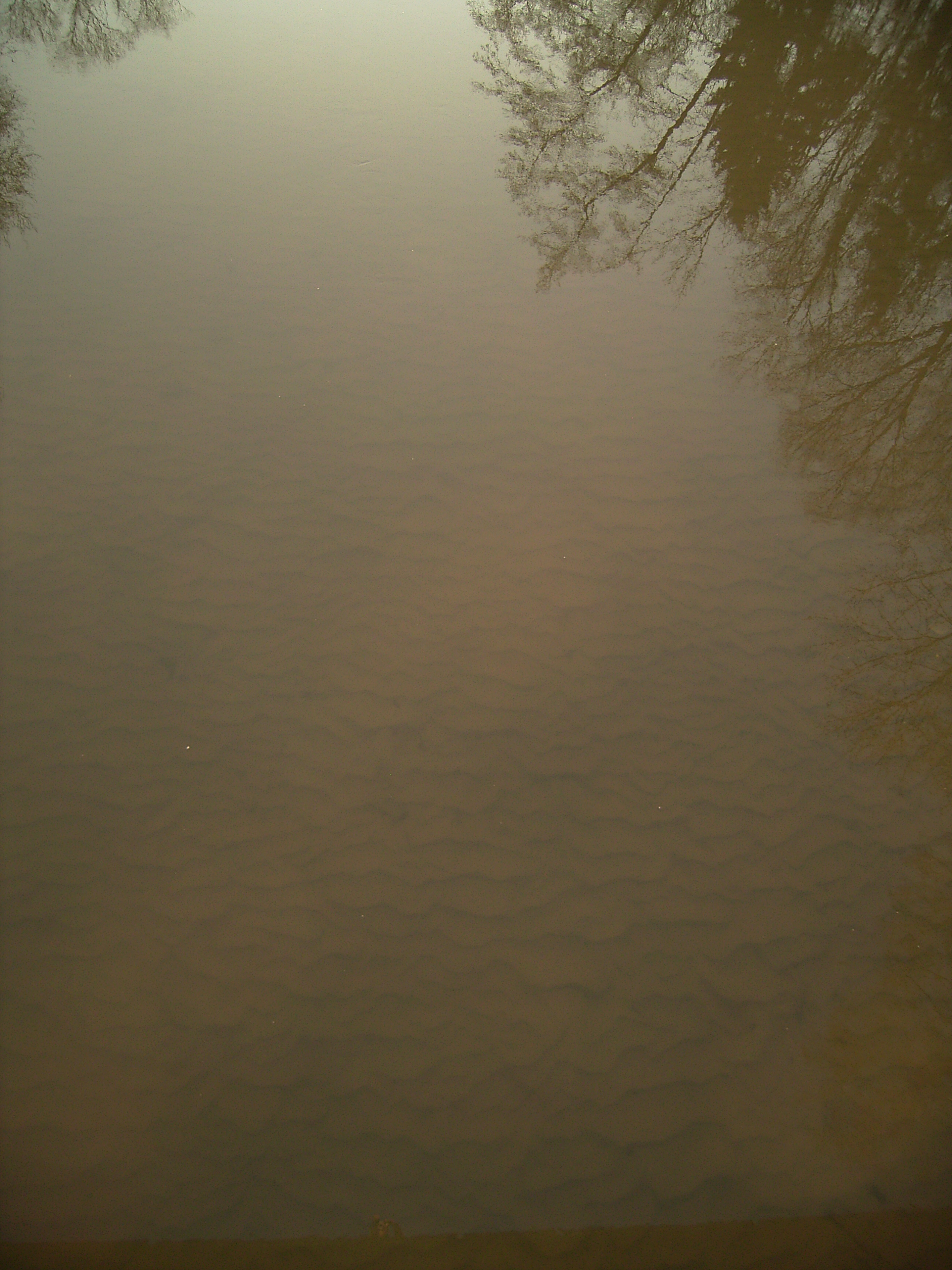 Strömungsrippeln Rems