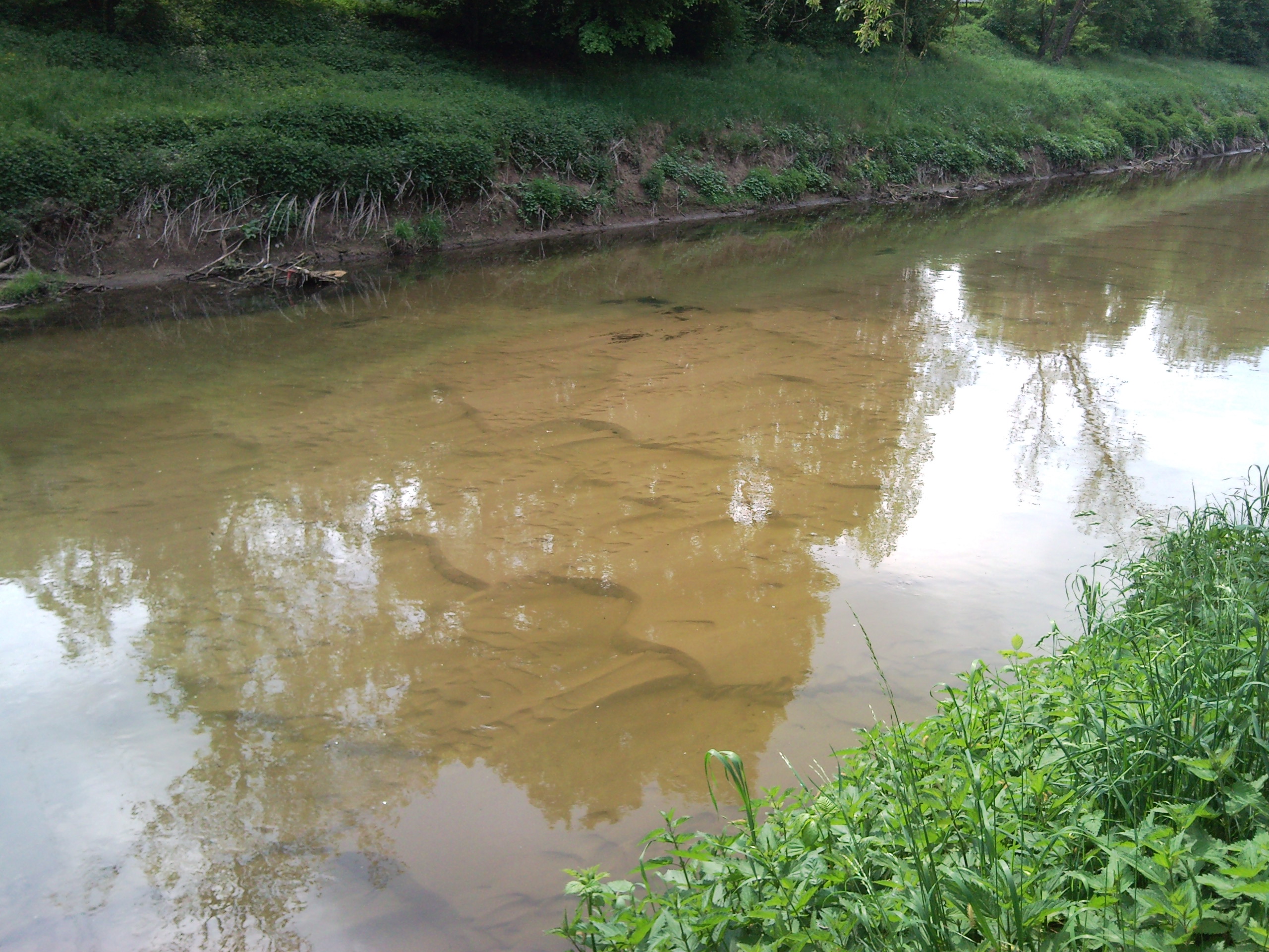Sexy Großrippeln und Rippeln bei der Kläranlage WN